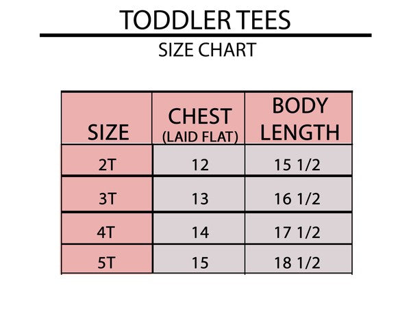 USA Checkerboard Toddler Graphic Tee